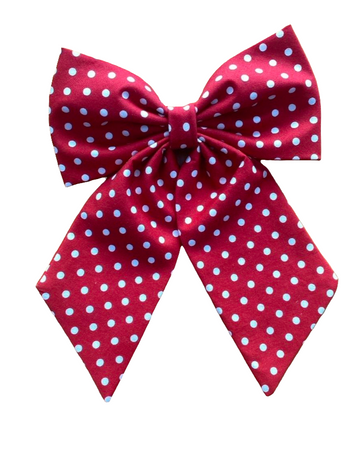 Pretty Women's Bow in Red Polka Dot